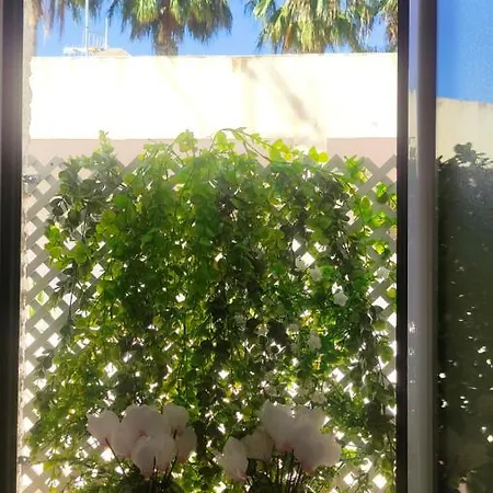 Rosalia Playa San Cristobal Wifi Netflix
